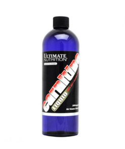 l carnitine profile Acetyl l-carnitine - energizing dietary supplement
