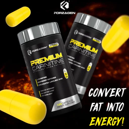 premium l carnitina forzagen خرید و قیمت ال کارنیتین پریمون فورزاژن Forzagen Premium L-Carnitine