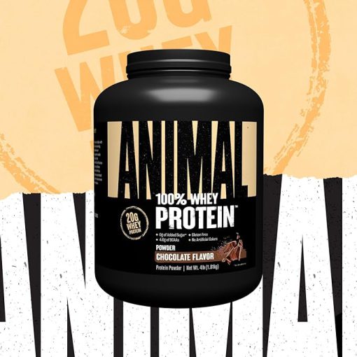 پودر پروتئین وی انیمال Animal 100% Whey Protein Powder