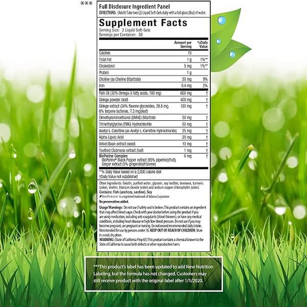 افزایش دهنده تمرکز جینکو اروین نچرالز Irwin Naturals Ginkgo Smart 4 افزایش دهنده تمرکز جینکو اروین نچرالز Irwin Naturals Ginkgo Smart