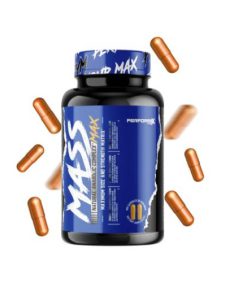 مکمل مس مکس پرفورمکس لبز Performax  Labz MassMax