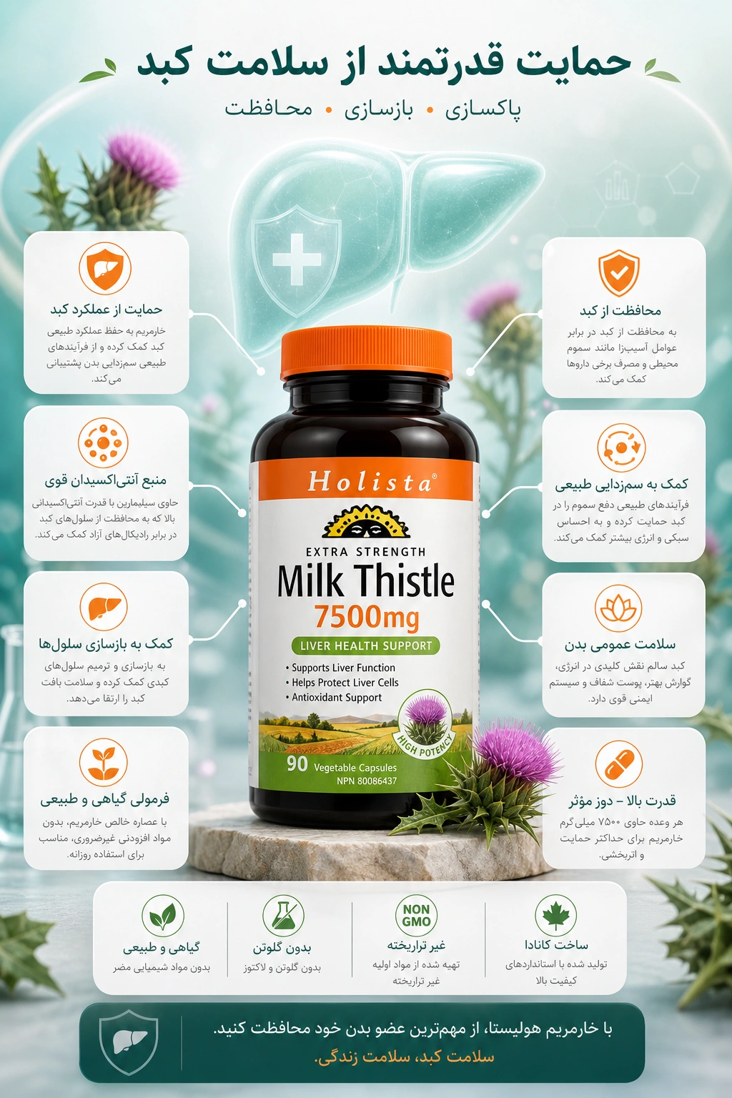 خار مریم هولیستا 240 عدد Holista Milk Thistle 7500mg 10 خار مریم هولیستا 240 عدد Holista Milk Thistle 7500mg