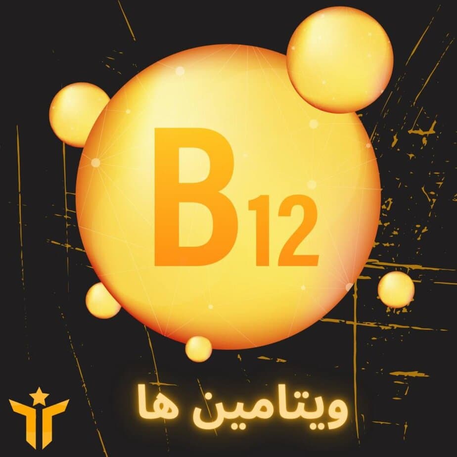 مسترفیت، فروشگاه لوازم ورزشی