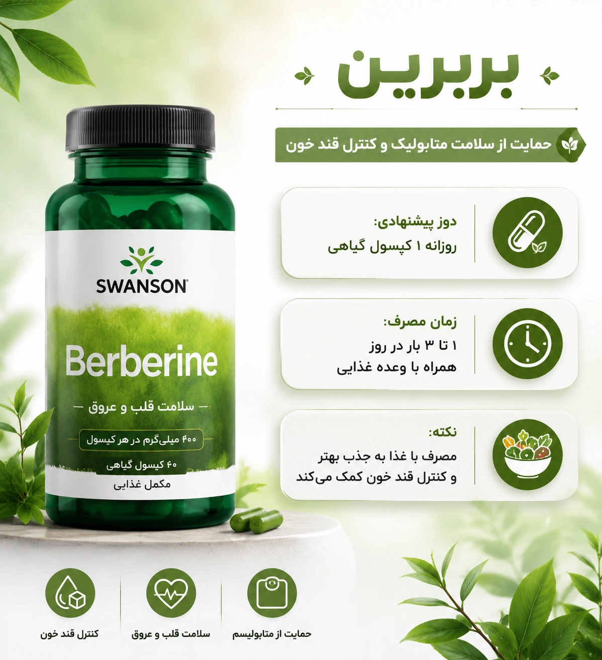 بربرین سوانسون 60 عددی Swanson Berberine 11 بربرین سوانسون 60 عددی Swanson Berberine