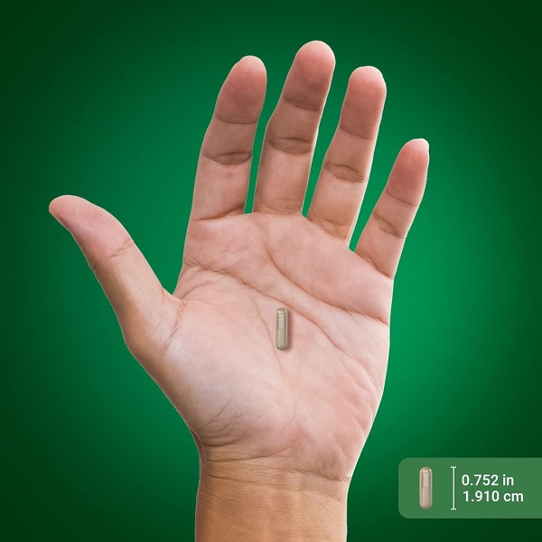 خار مریم پایپینگ راک Piping Rock Milk Thistle 5 خار مریم پایپینگ راک Piping Rock Milk Thistle